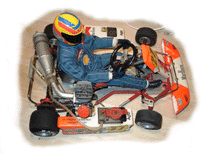 KARTING RACING 10 TEAM SEEENTI COME CANTA!